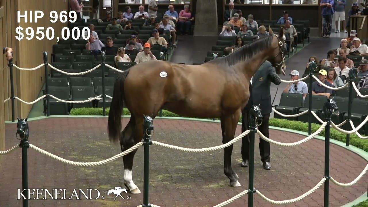 Hip 969, Gun Runner - Twenty Carat, sells for $1.55 million at 2025 Keeneland September