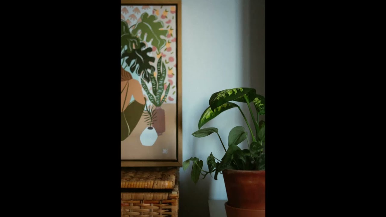 Deep Focus Room – 1 Hour of Calm Stillness for Study & Work