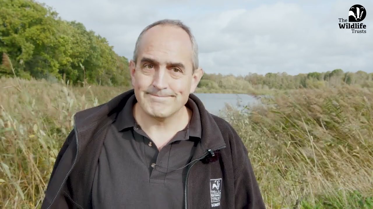 The Lowland Peat of Somerset