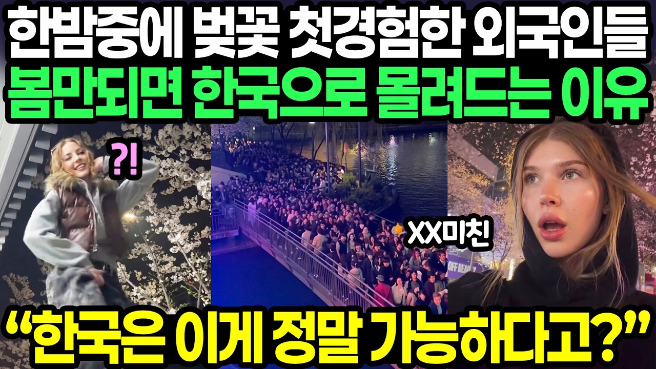 한밤중에 벚꽃 첫경험한 외국인들 봄만되면 한국으로 몰려드는 이유 / &ldquo;한국은 이게 정말 가능하다고?&rdquo;