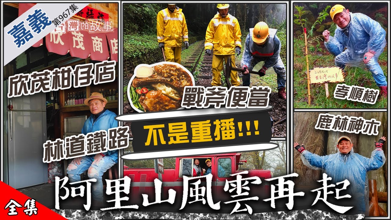 【阿里山風雲再起】欣茂柑仔店 林道鐵路 戰斧便當 鹿林神木 孝順樹 【在台灣的故事第967集】