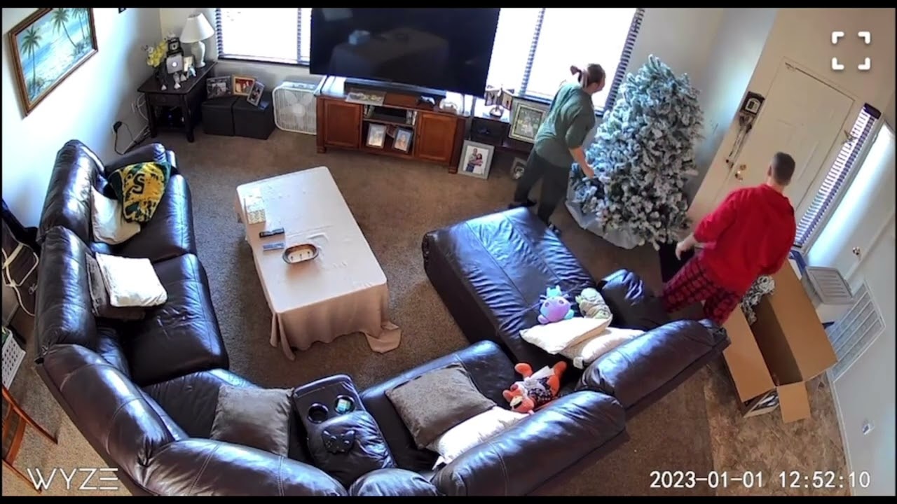 Christmas Tree VS Human