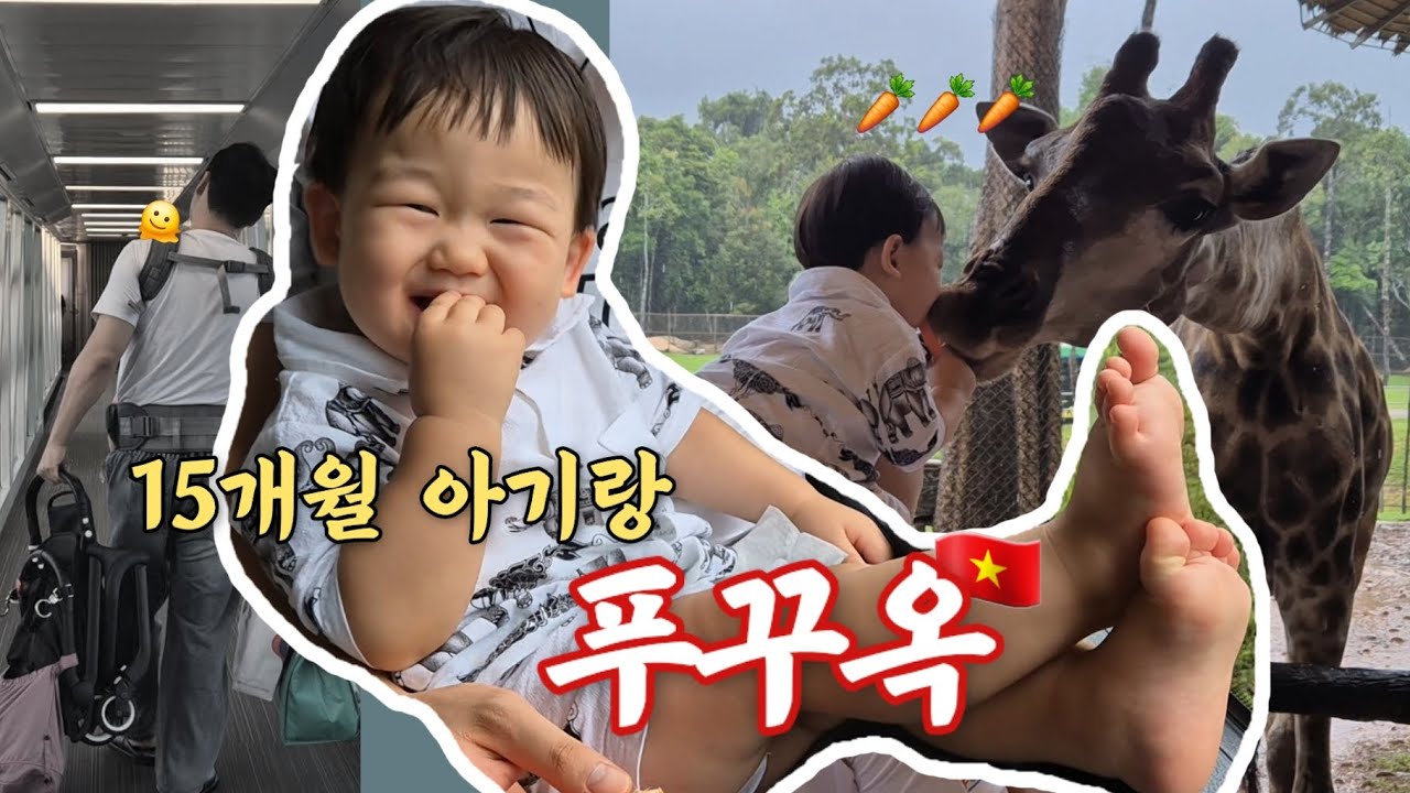 육아vlog) 15개월 아기랑 비엣젯 타고 푸꾸옥🇻🇳 / 비행후기✈️ / 베이비시터👶🏻 / 빈펄사파리🦒