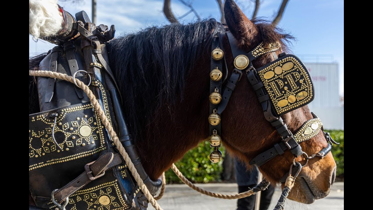 25 anys de la recuperació de la Festa dels Tres Tombs a Cerdanyola