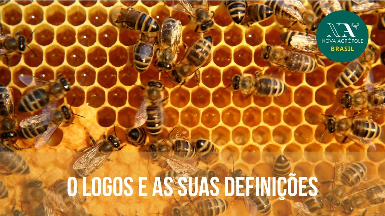 O Logos e as suas definições
