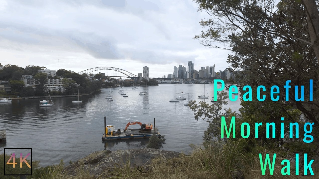 Peaceful morning walk Waverton Sydney, Australia | Harbour promenade | 4K ASMR