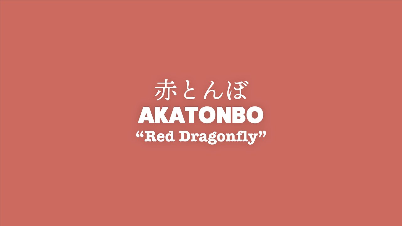 Lyrics) AKATONBO (Children&rsquo;s song) | 赤とんぼ (童謡・唱歌)