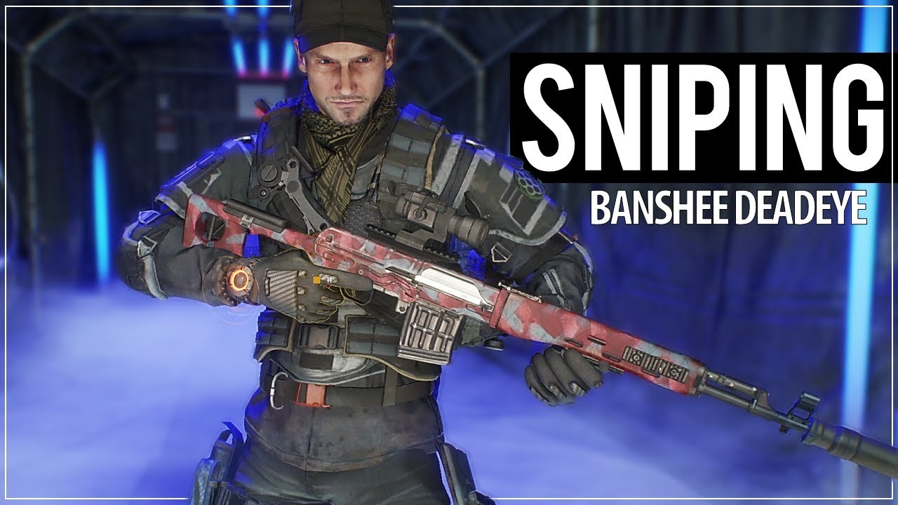 The Division | Banshee/ DeadEye Sniping