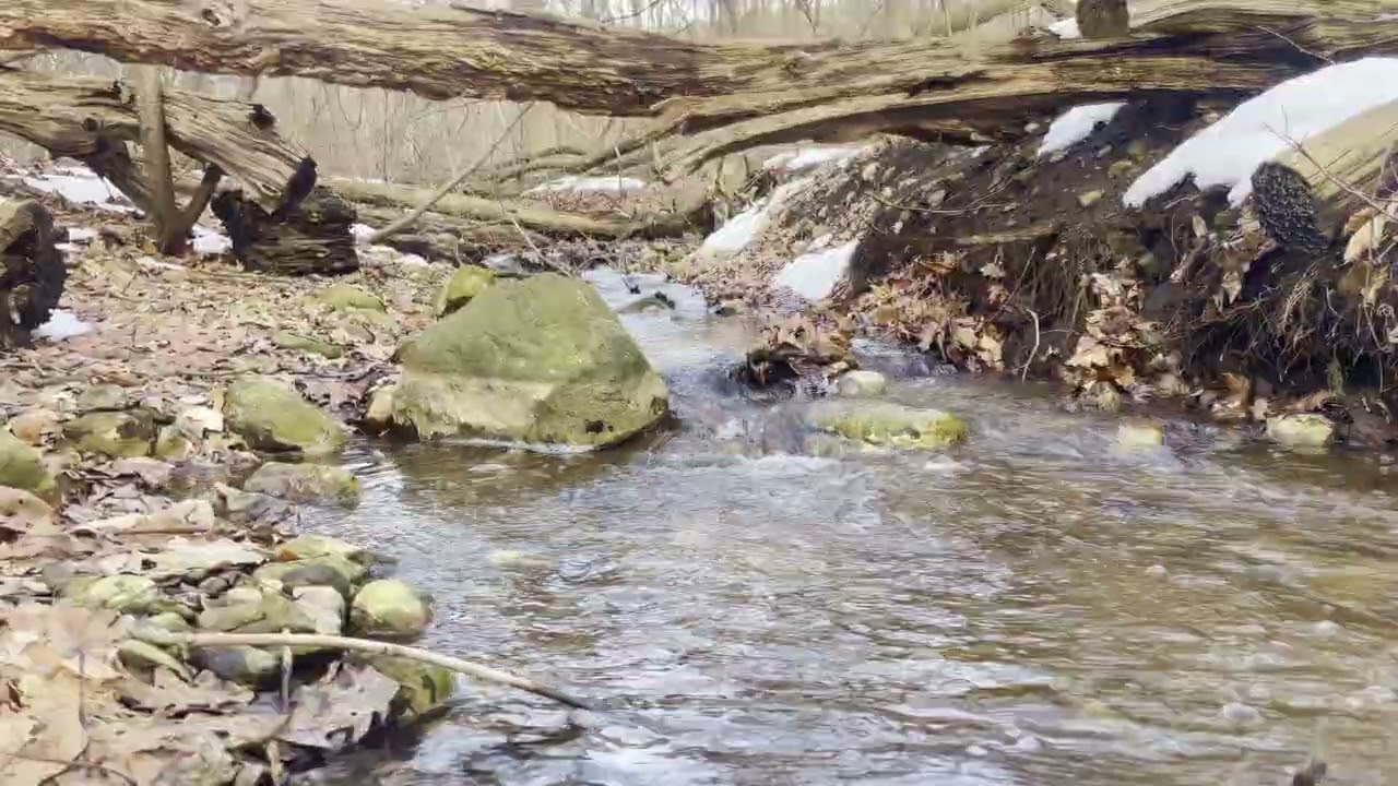 Crisp Mountain Creek | Soothing Ripples and Nature Ambience | ASMR For Deep Sleep/Focus