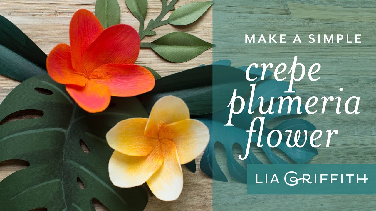 How to Make a Tropical Plumeria Flower with Crepe Paper