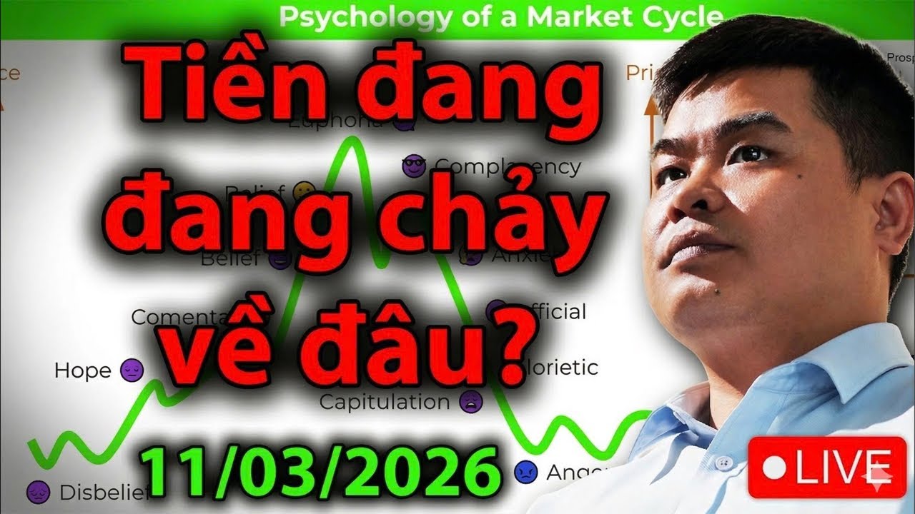 Thị trường sập tiền đang chảy vào đâu?