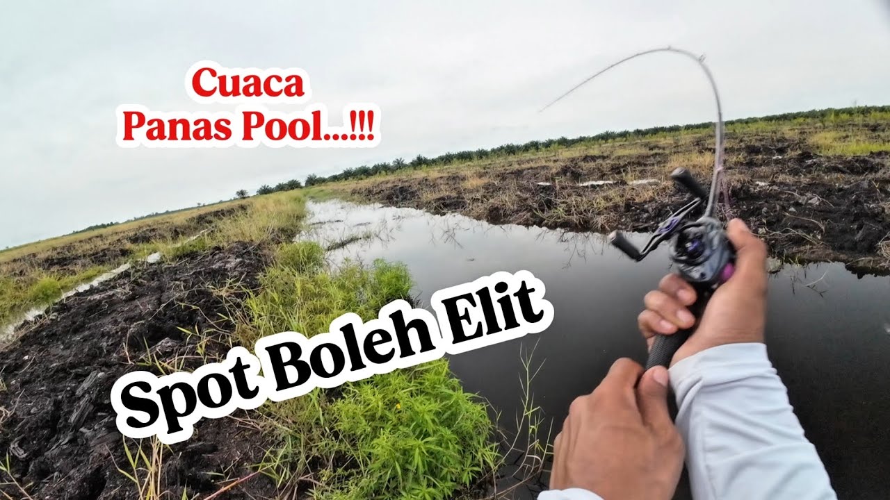 Mencari sambaran gabus spot sisa banjiran ‼️ #mancing #castinggabus #mancingikan #fishing 