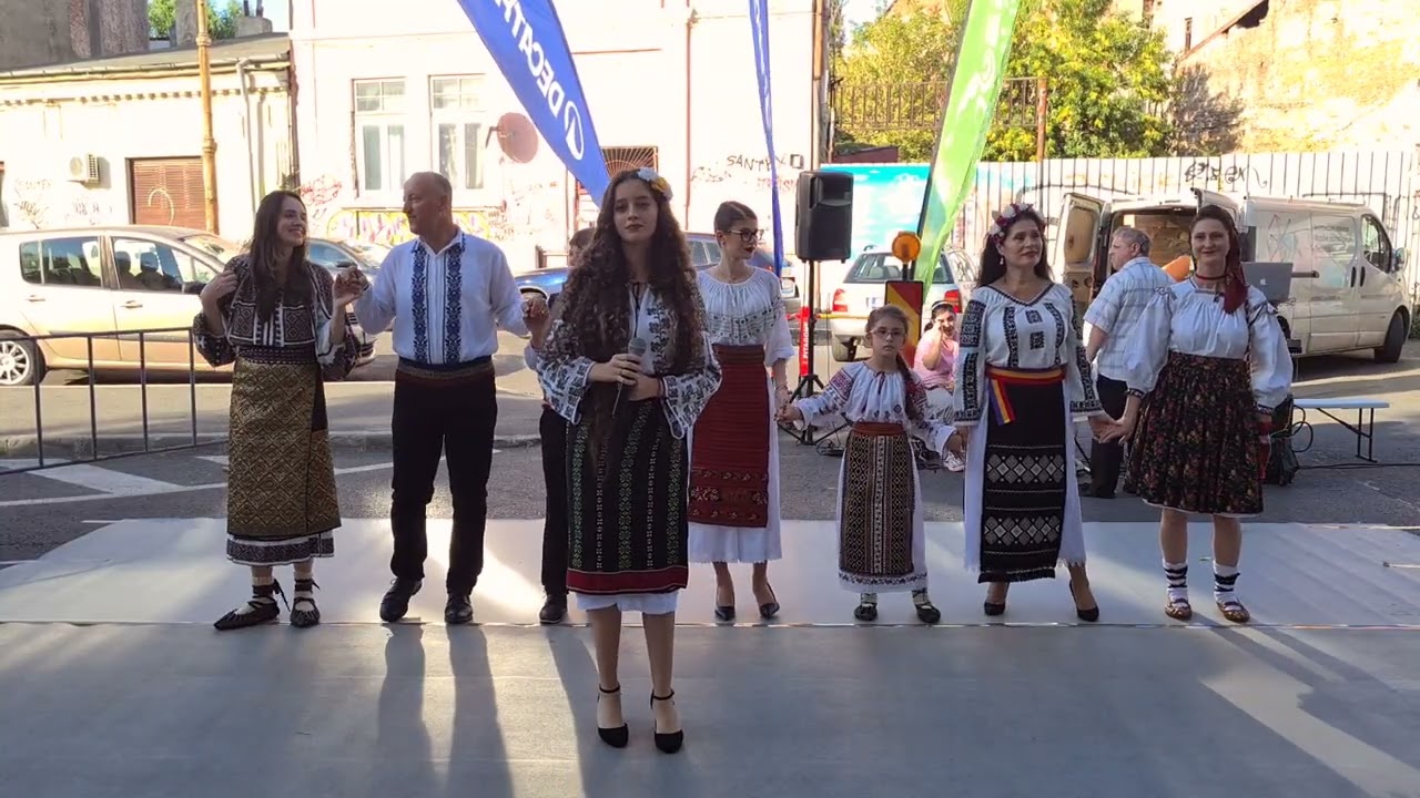 Olariu Alesia Gabriela - Bordeias, Bordei, Bordei (Cover Floarea Calota)