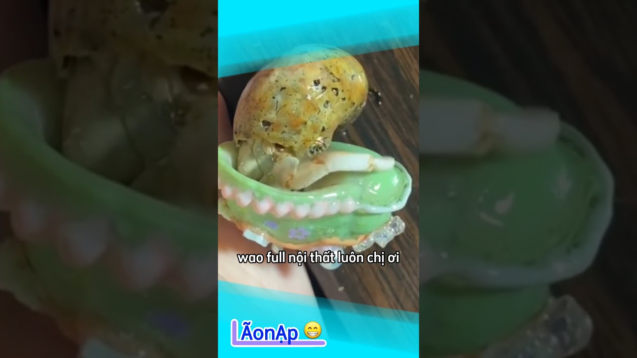Được voi đòi Hai Bà Trưng 🤣 