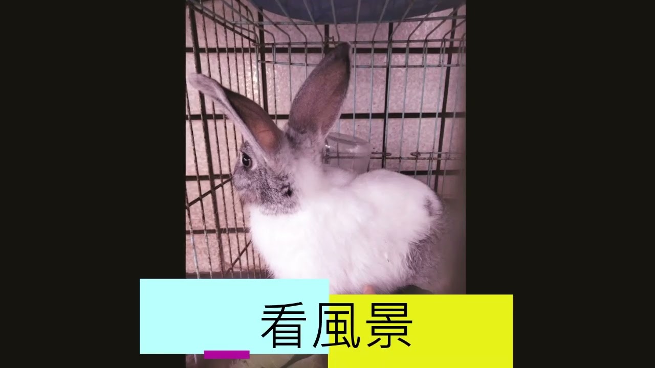 數位工具