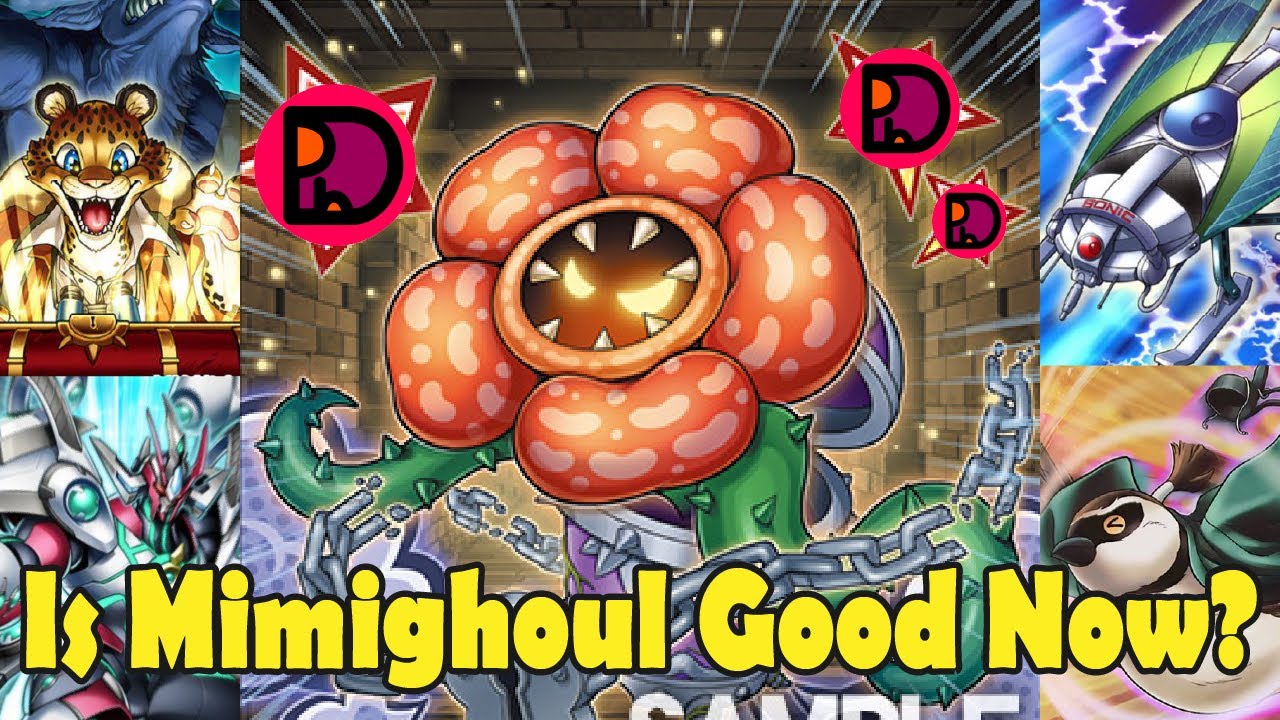 Is Mimighoul Good Now?