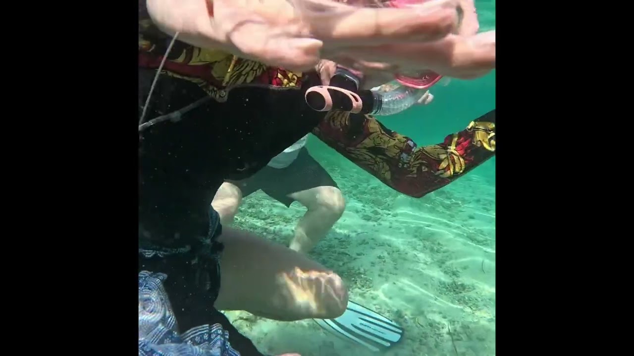 Decouverte d un lagon a bali . Discover bali s lagoon ecosystem