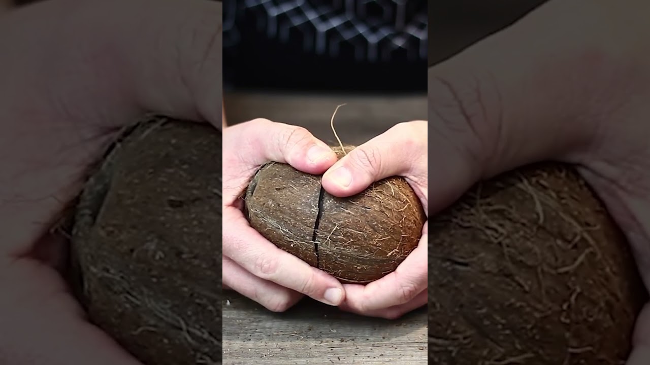 &Iacute;gy t&ouml;rheted fel a k&oacute;kuszdi&oacute;t #recept #diyrecipe #coconutcreek #howto #hogyancsin&aacute;ld