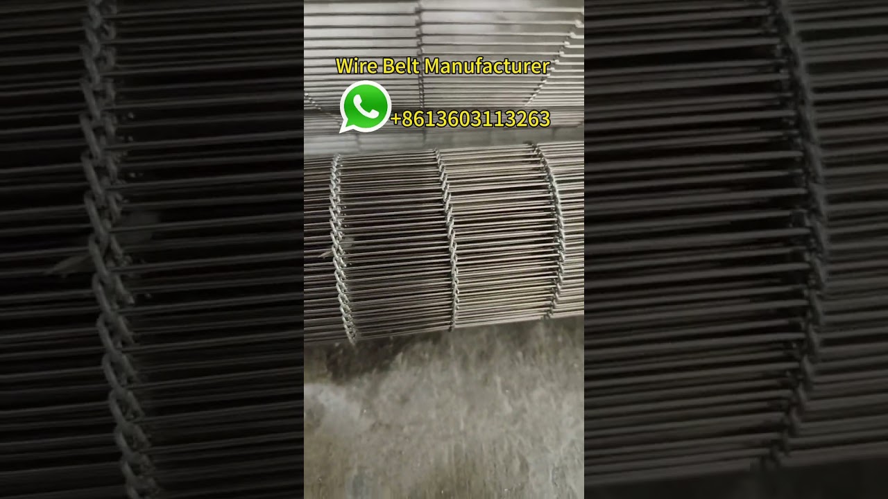 Continuous frying machine wire mesh belt
