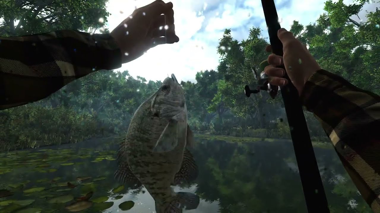Fishing Planet Romania Ep.1, La pescuit pe LONE STAR LAKE, LIVE