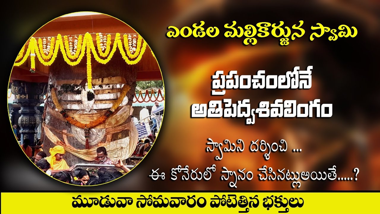 Endala Mallikarjuna Swamy Temple -Tekkali Ravivalasa Srikakulam | #tag #trending #god