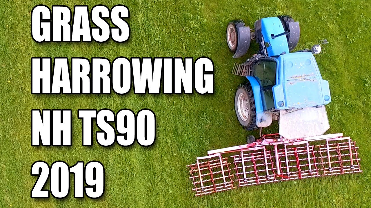 Grass harrowing 2019