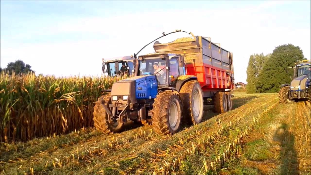 ensilage de mais 2016