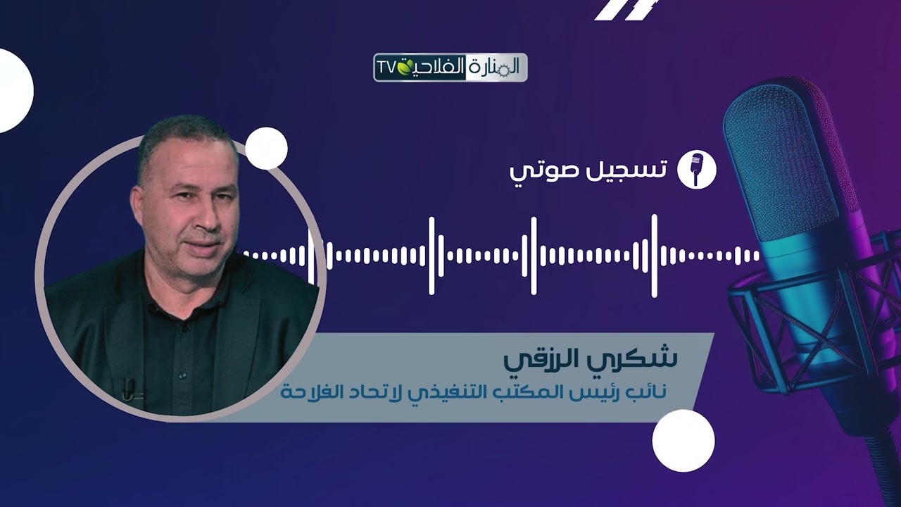 لتوريد العشوائي للبطاطا أغرق السوق