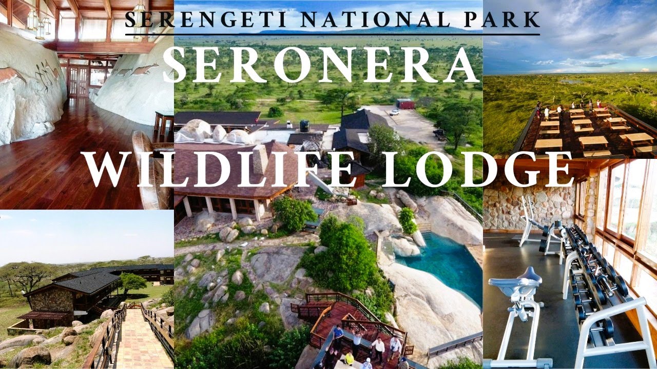 Seronera Wildlife Lodge: Your Perfect Serengeti Escape - #serengeti #tanzania