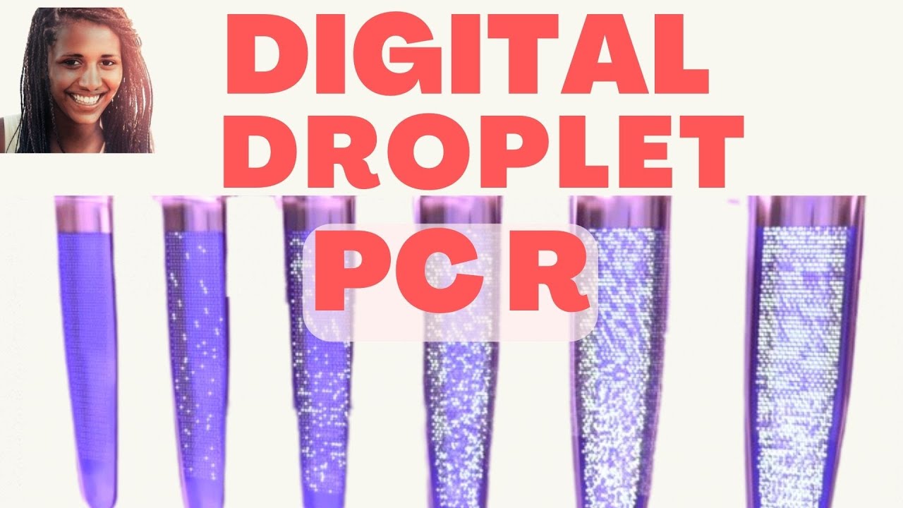 DROPLET DIGITAL PCR Explained: Advantages, Applications, and Protocol Walkthrough 💧 | Droplet PCR