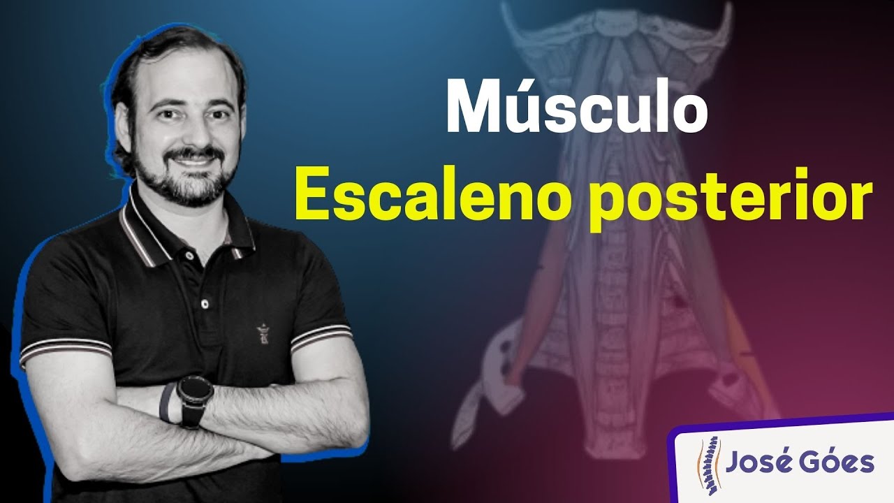 Músculo escaleno posterior | José Góes