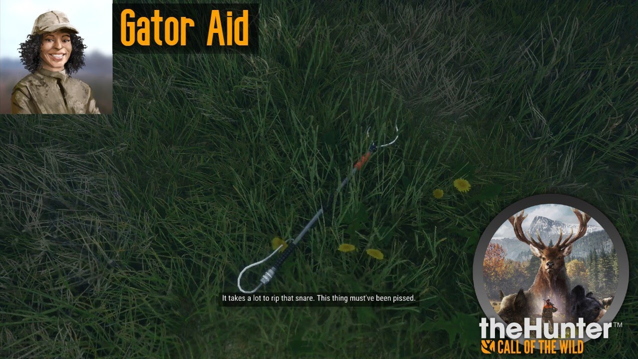 Gator Aid theHunter Call of the Wild