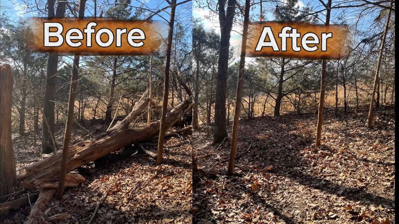 Clearing Fence from Fallen Tree! Introducing the Animas! 