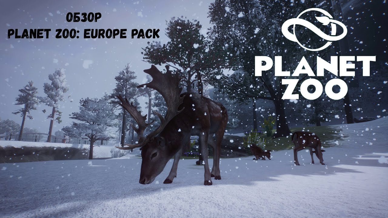 ОБЗОР НОВОГО DLC | Planet Zoo: Europe Pack