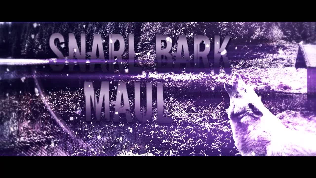 Another Hero's Fall - Howl With Me (Official Lyric Video)