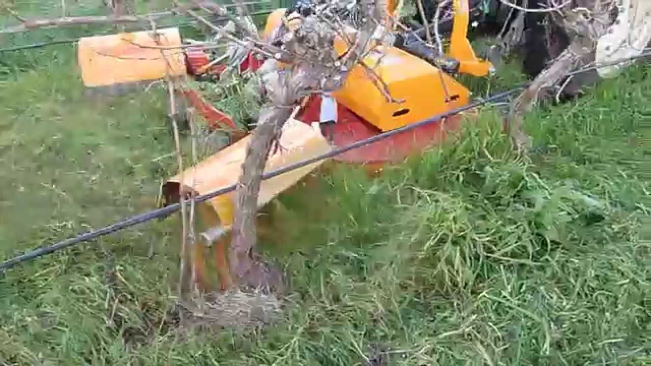 Fischer BV2 & TWISTER W2 Inter-row to Undervine Weeding System