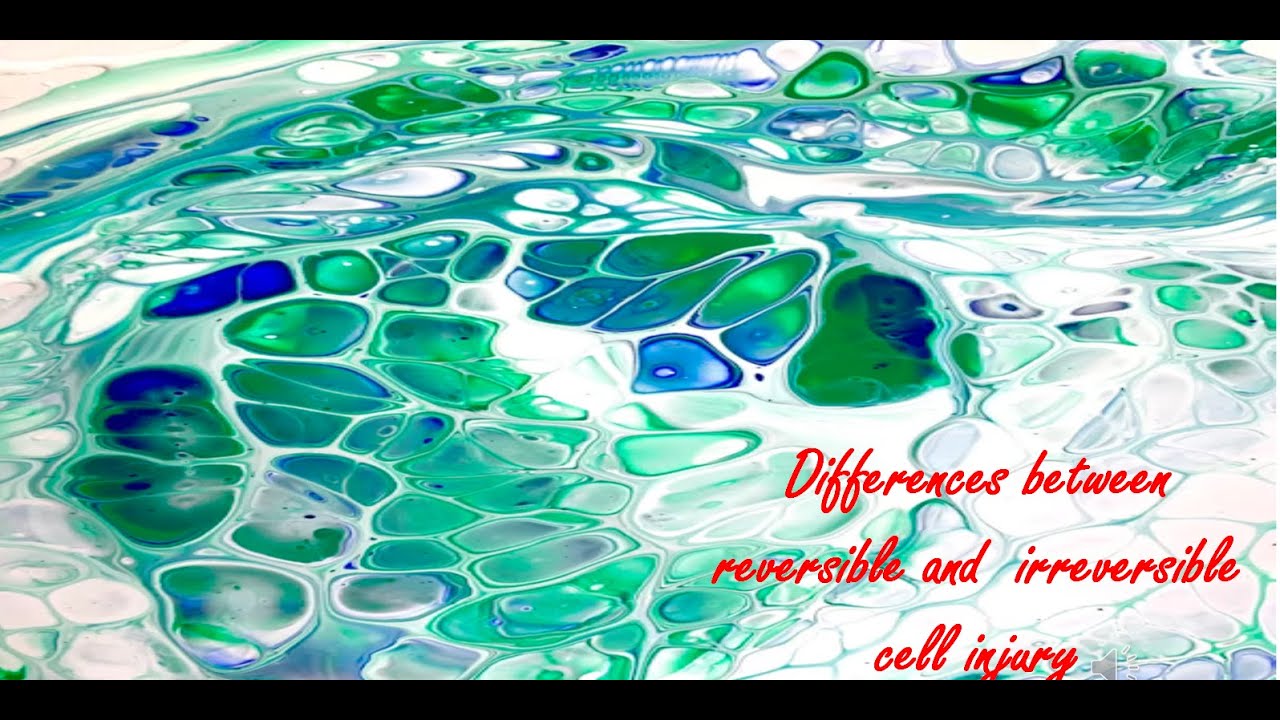 Differences between reversible and irreversible cell injury