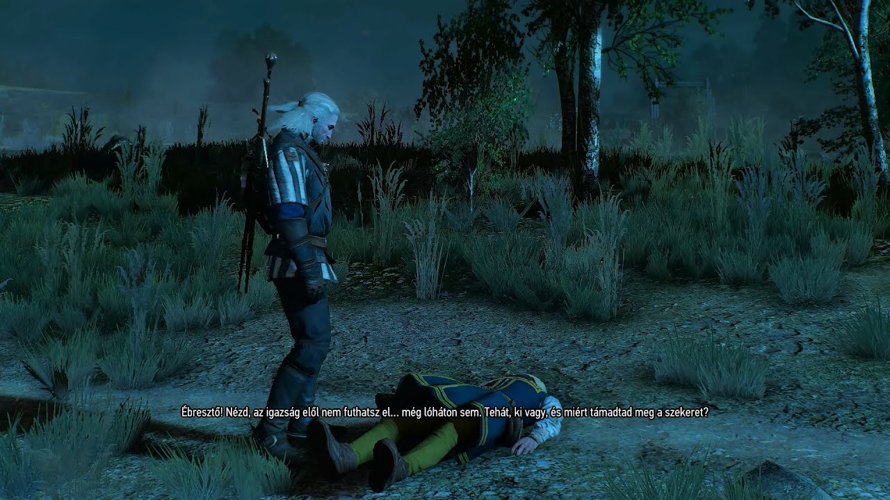 Witcher 3 Végigjátszás 8.rész (Értékes Rakomány küldetés)