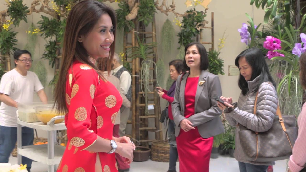 Tet Binh Than | Chua Duc-Vien 2016 (1080p)