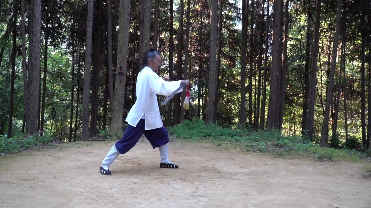 Wudang Taiji Sword