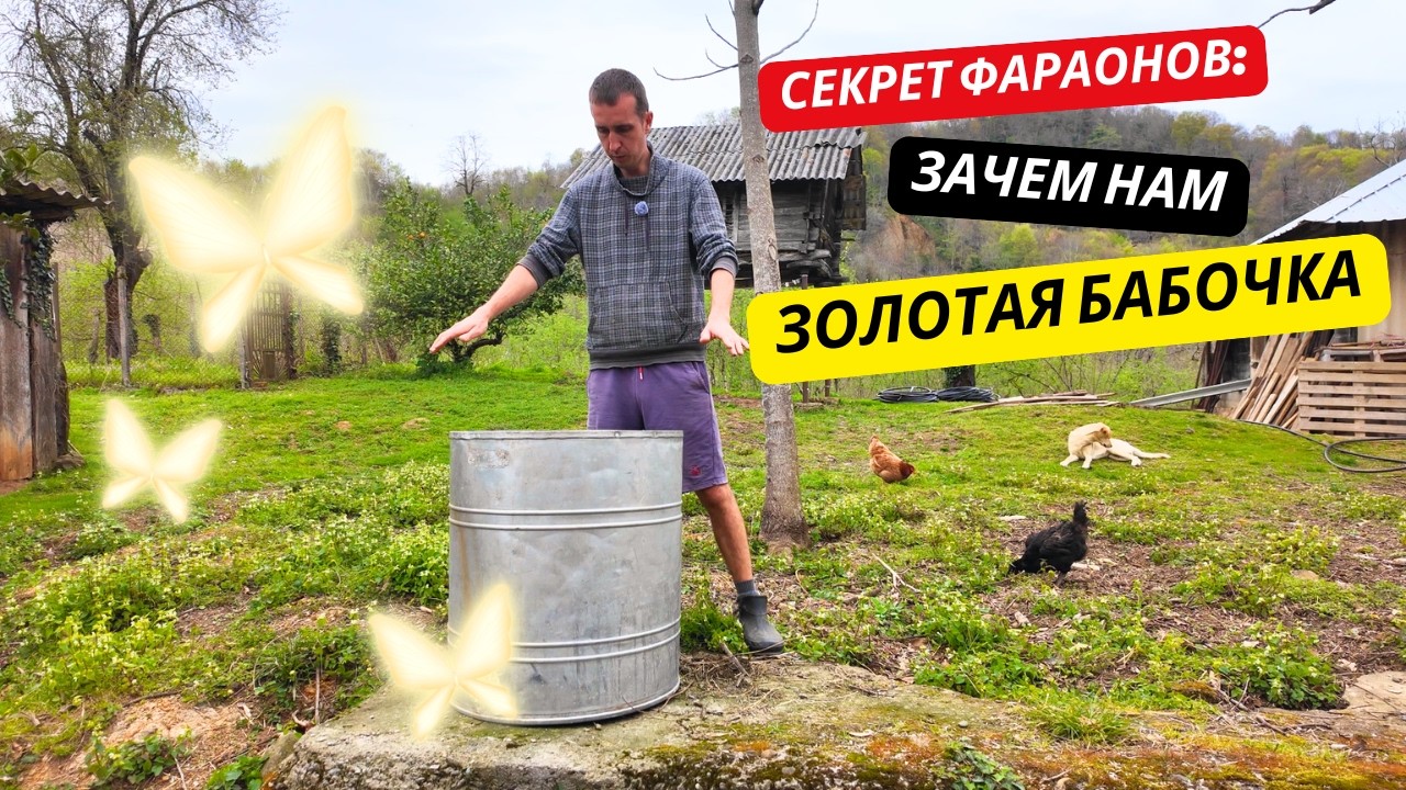 СЕКРЕТ ФАРАОНОВ: Зачем нам Золотая Бабочка? 🐝✨