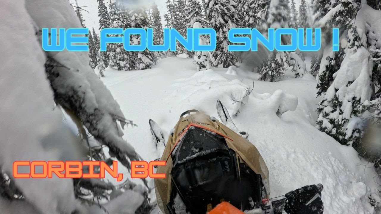 We Found Snow in Corbin, BC | Day 2 | Mountain Sled Trip