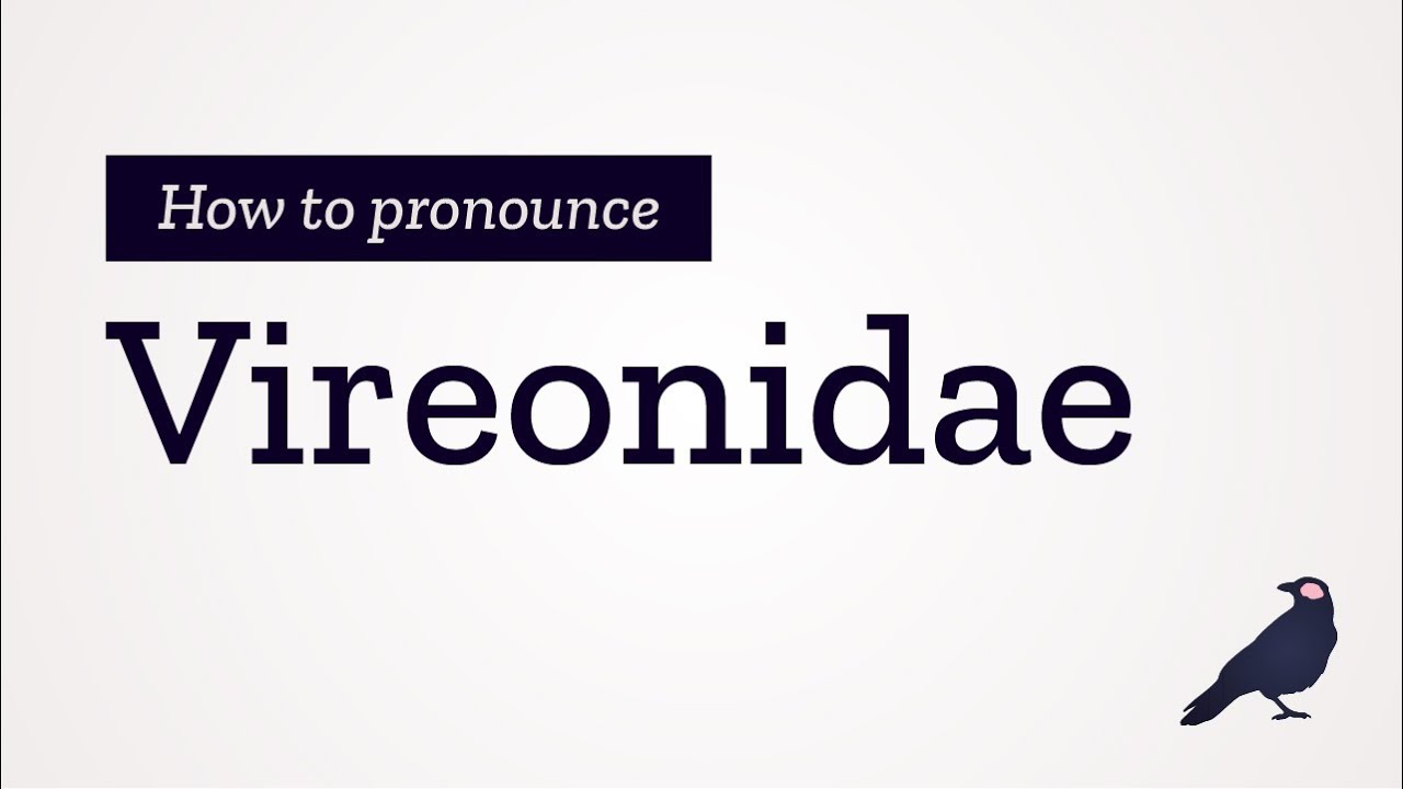 How to Pronounce Vireonidae