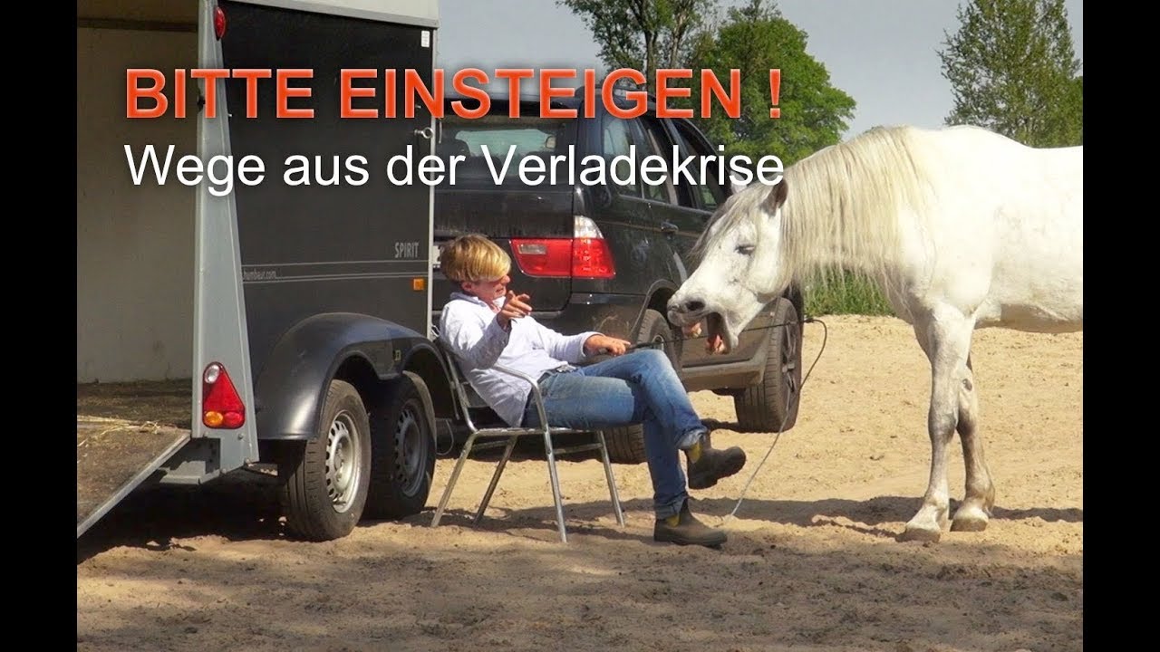 Bitte Einsteigen - Verladetraining mit ways2liberty, Trailer I