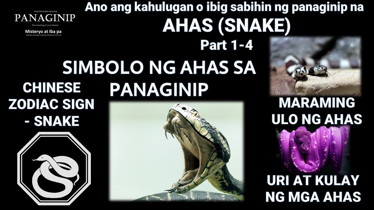 Kahulugan ng panaginip na Ahas | Ibig Sabihin ng Ahas sa Panaginip | Snakes Dream Meaning