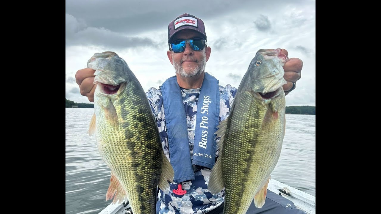Are Bass Prespawn or Spawning Right Now? #fishing