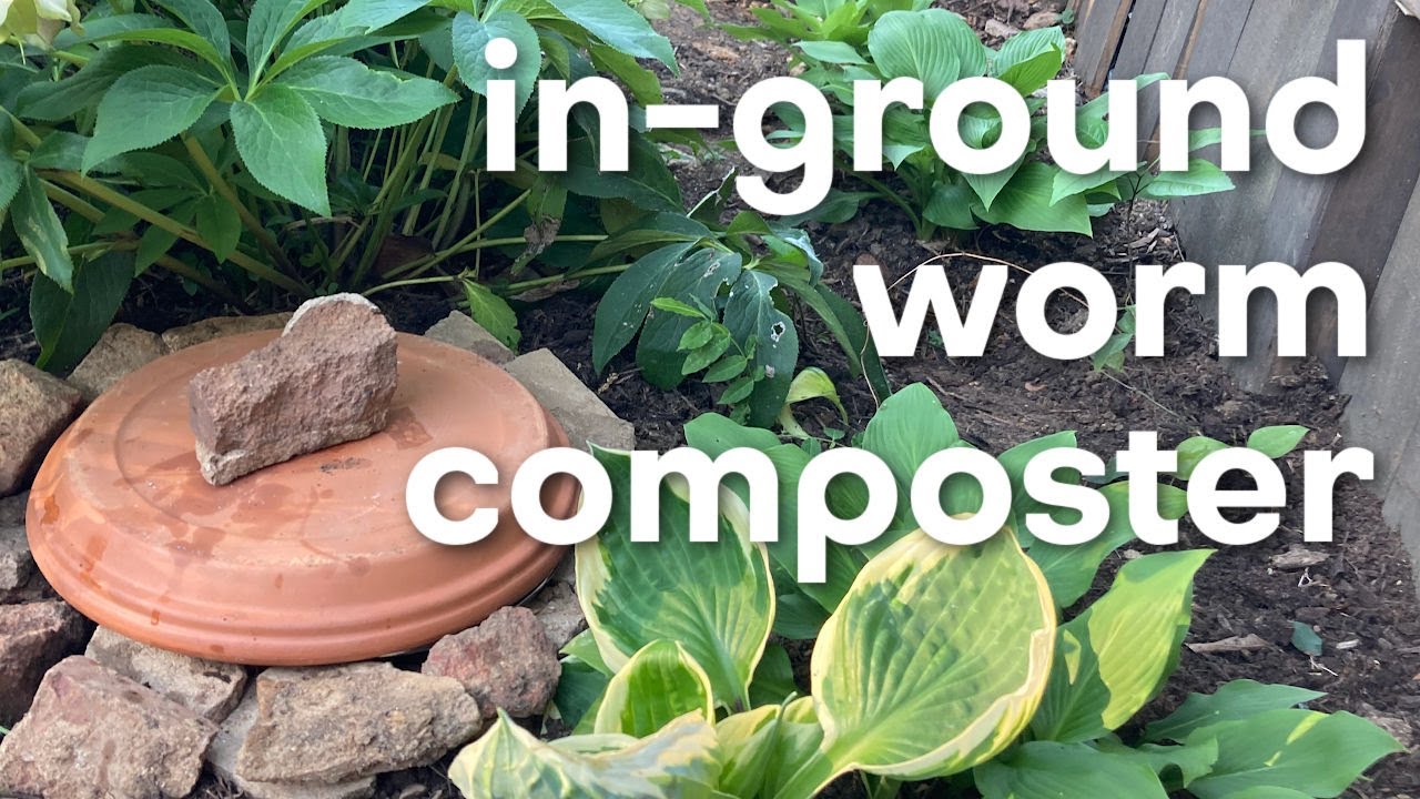 Easy DIY In-Ground Worm Bin: Stay Cool and Compost Efficiently!