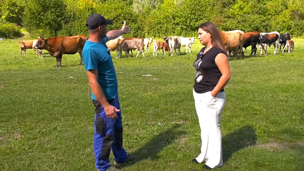 Vratio sam se iz Njemačke u Bosnu i sada uzgajam bikove bodače i uživam