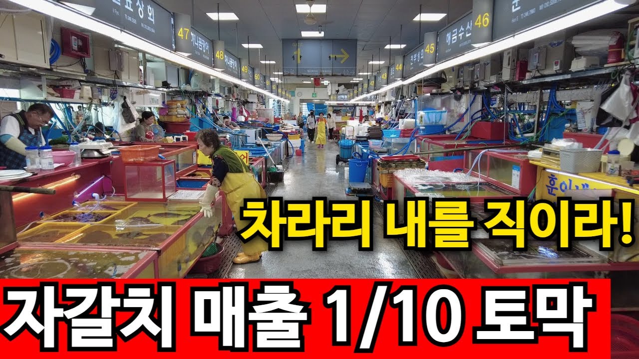 끝없는 바가지 논란 자갈치시장 | 무상 임대 주장까지..ㅠ