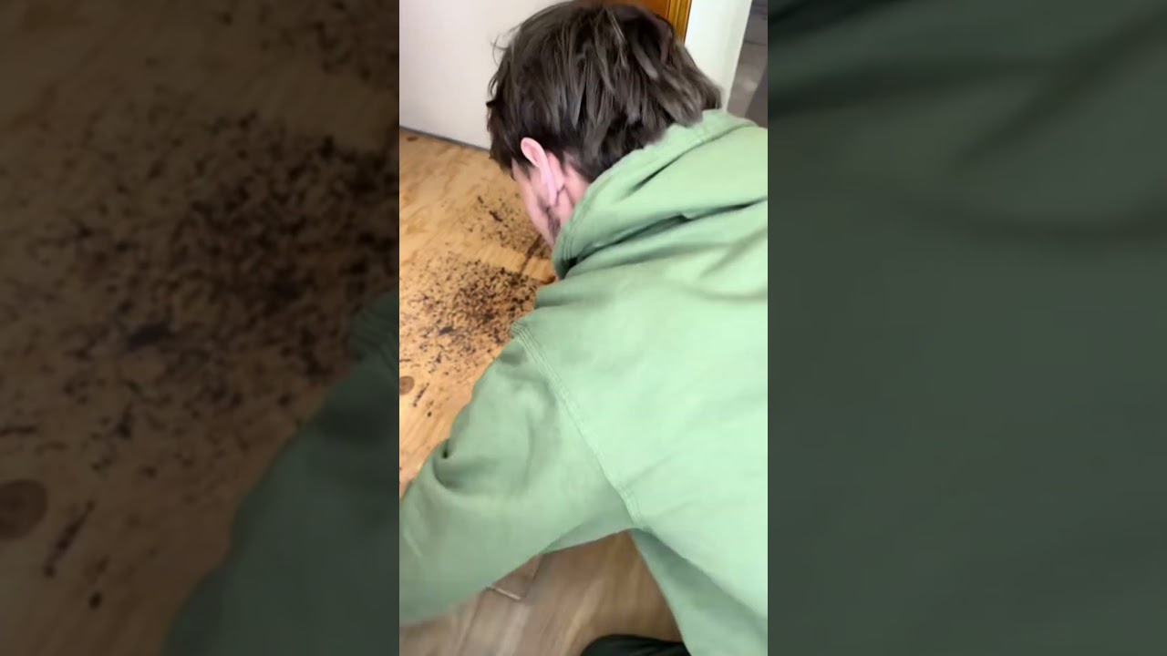 This Flooring Secret Changes Everything! #fooring #fyp #tips #skills #diy